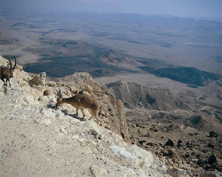 Ramon Inn By Isrotel Collection Mitzpe Ramon Exteriör bild